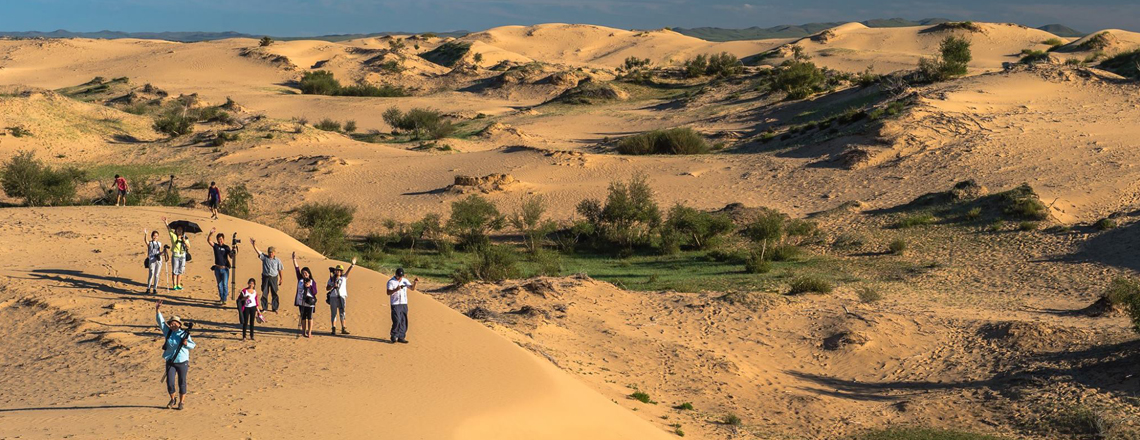 Элсэн тасархай